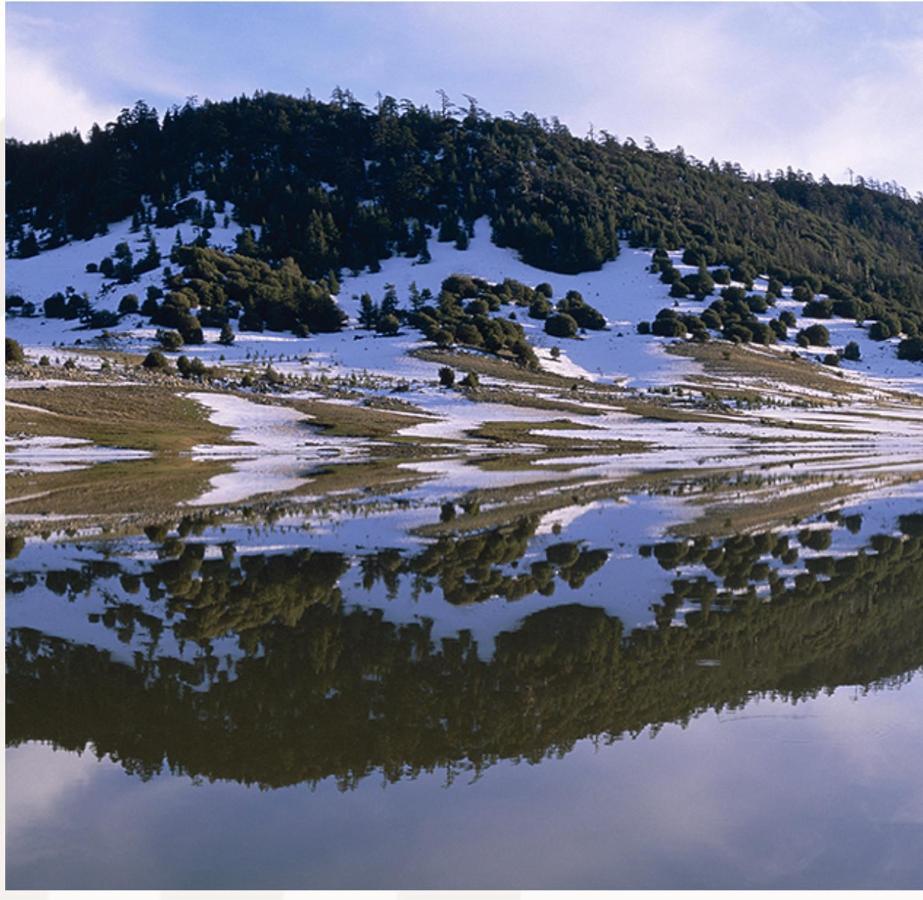 Ifrane Chalet Villa Dış mekan fotoğraf